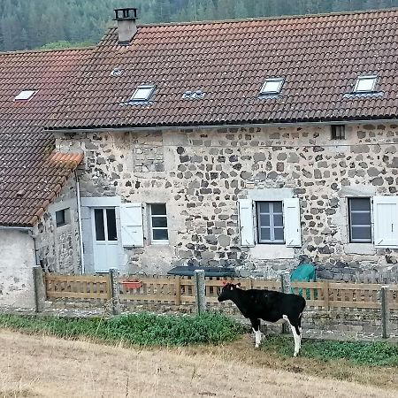 Gite A La Ferme Le Malzieu-Ville Eksteriør bilde