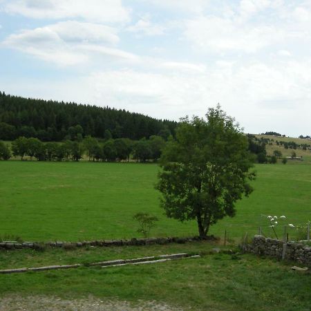 Gite A La Ferme Le Malzieu-Ville Eksteriør bilde