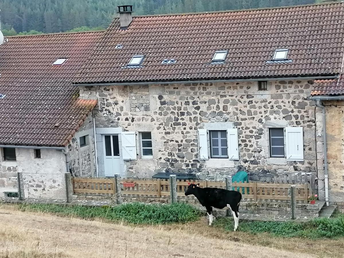 Gite A La Ferme Le Malzieu-Ville Eksteriør bilde