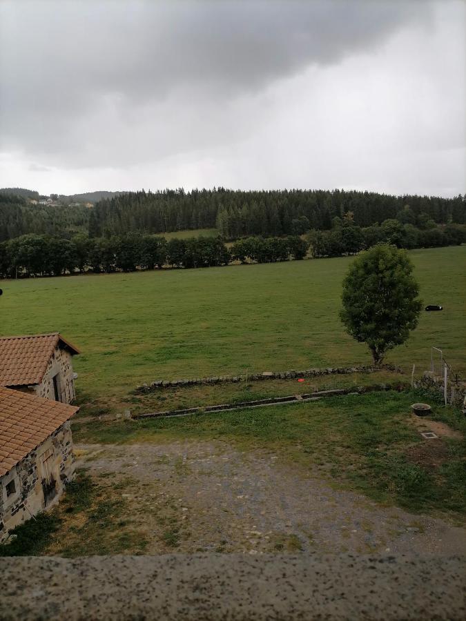 Gite A La Ferme Le Malzieu-Ville Eksteriør bilde