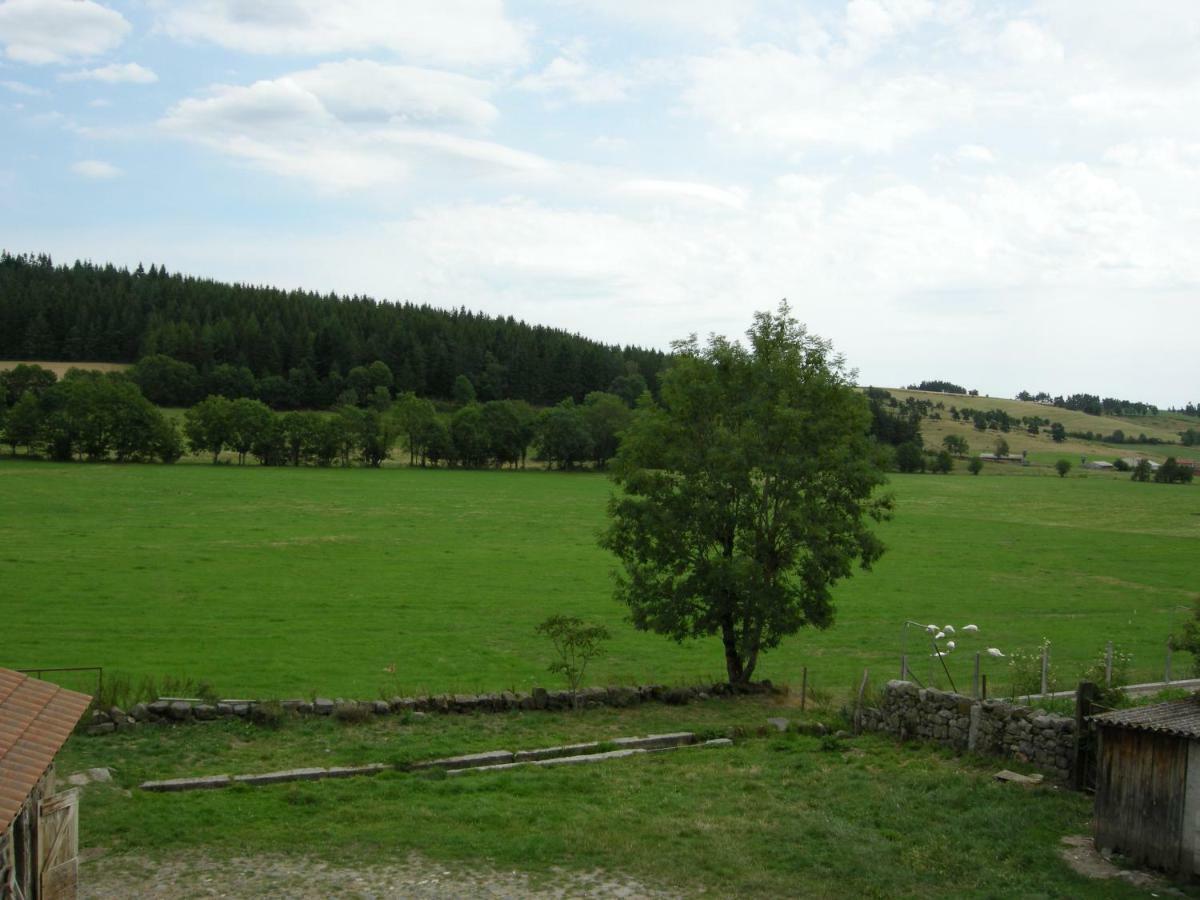 Gite A La Ferme Le Malzieu-Ville Eksteriør bilde